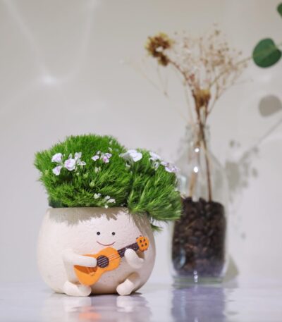 Smiley face planter pot cute indoor succulent plant holder