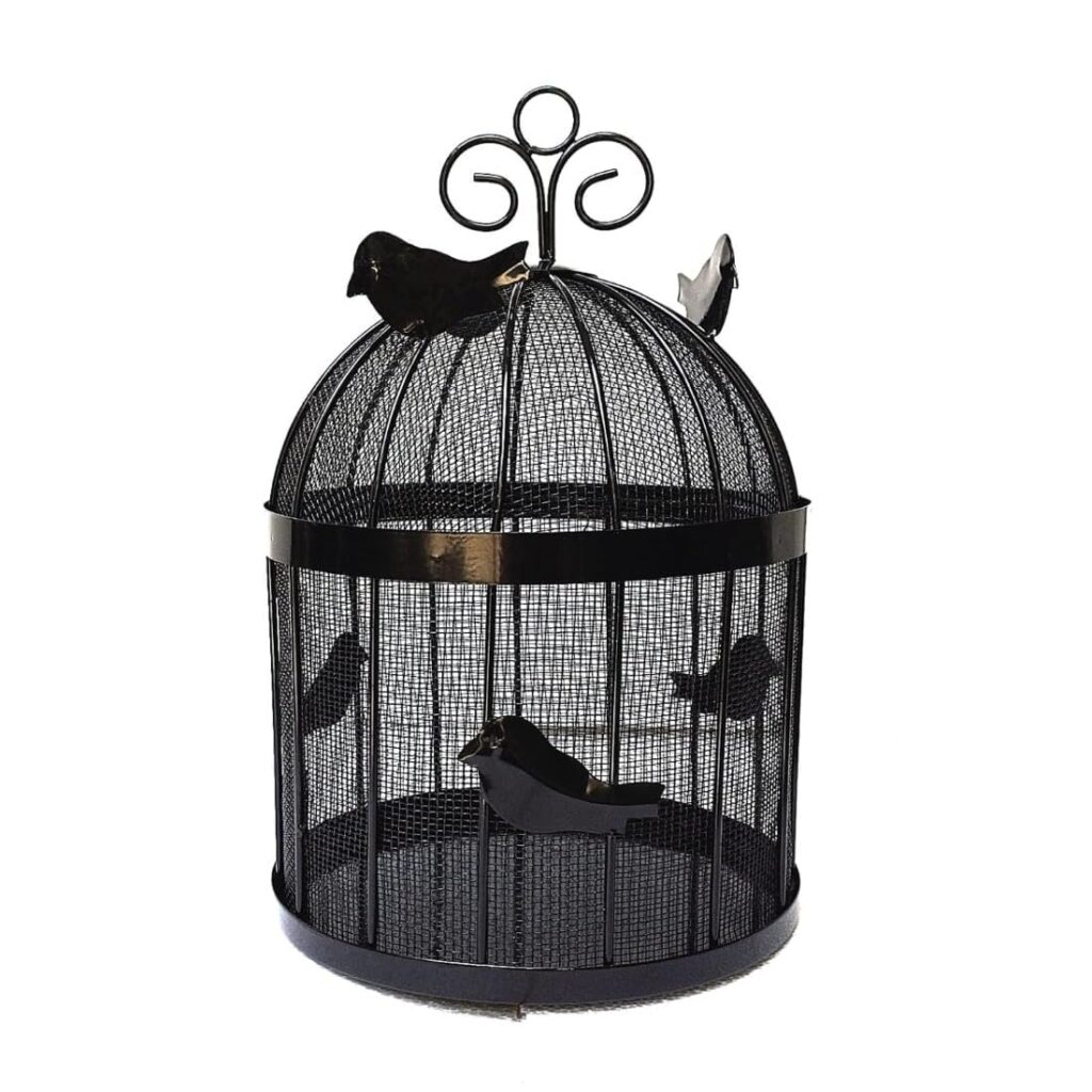 Bulbul fruit and vegetables storage basket with lid