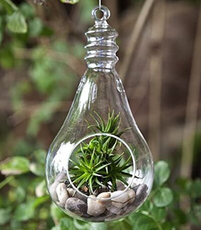 Glass hanging planter with string for modern home decor