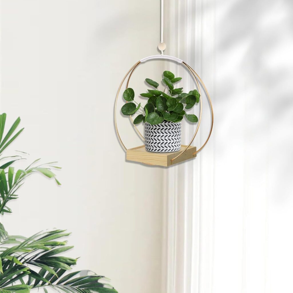 Hanging planter for indoor plants minimalist home styling