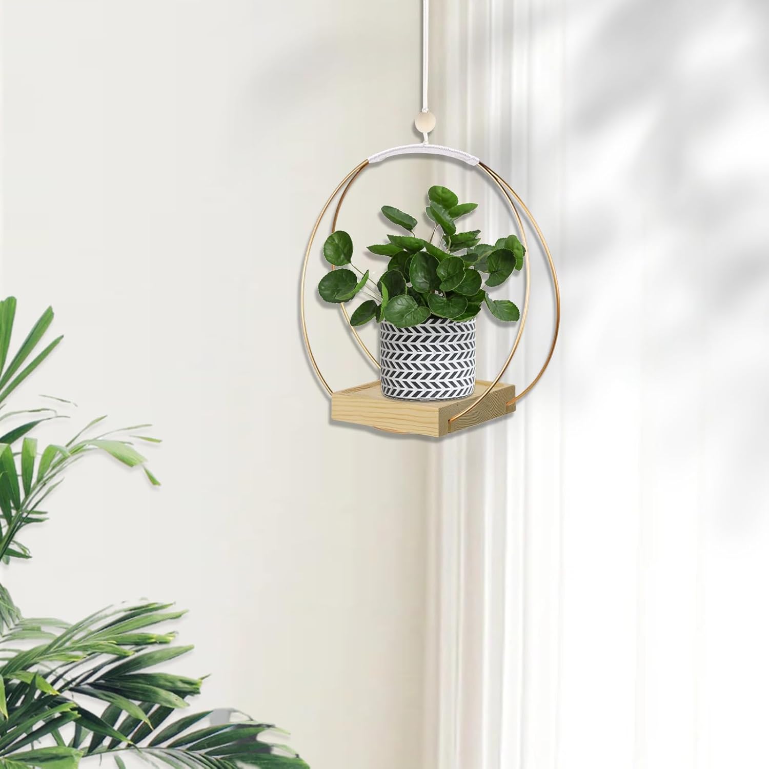 Modern Aesthetic Hanging Planter for Indoor Plants Hanging planter for indoor plants minimalist home styling