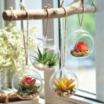 Crescent moon hanging glass terrarium planter for indoor plants