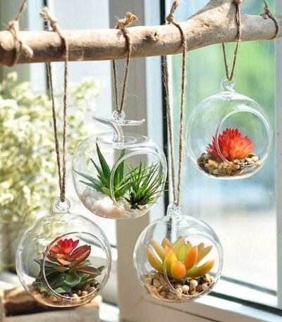 Crescent moon hanging glass terrarium planter for indoor plants