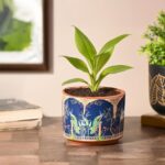 Royal enamel small clay flower pots with colorful handcrafted finish