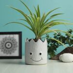 Handcrafted smiley face ceramic planter for indoor plants
