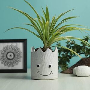 Handcrafted smiley face ceramic planter for indoor plants