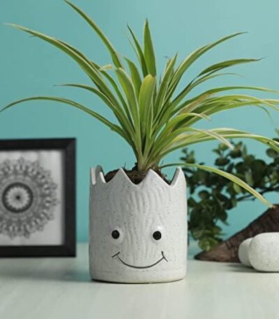 Handcrafted smiley face ceramic planter for indoor plants