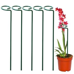 Metal trellis for supporting climbing plants and vines