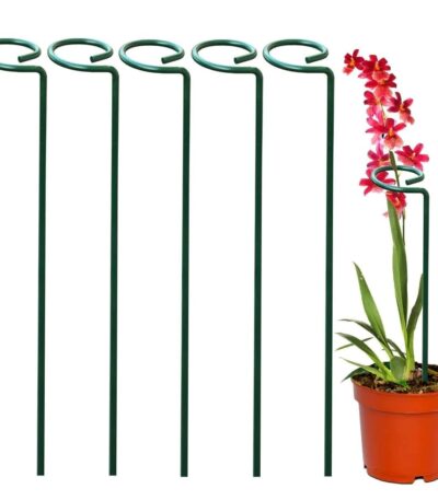 Metal trellis for supporting climbing plants and vines