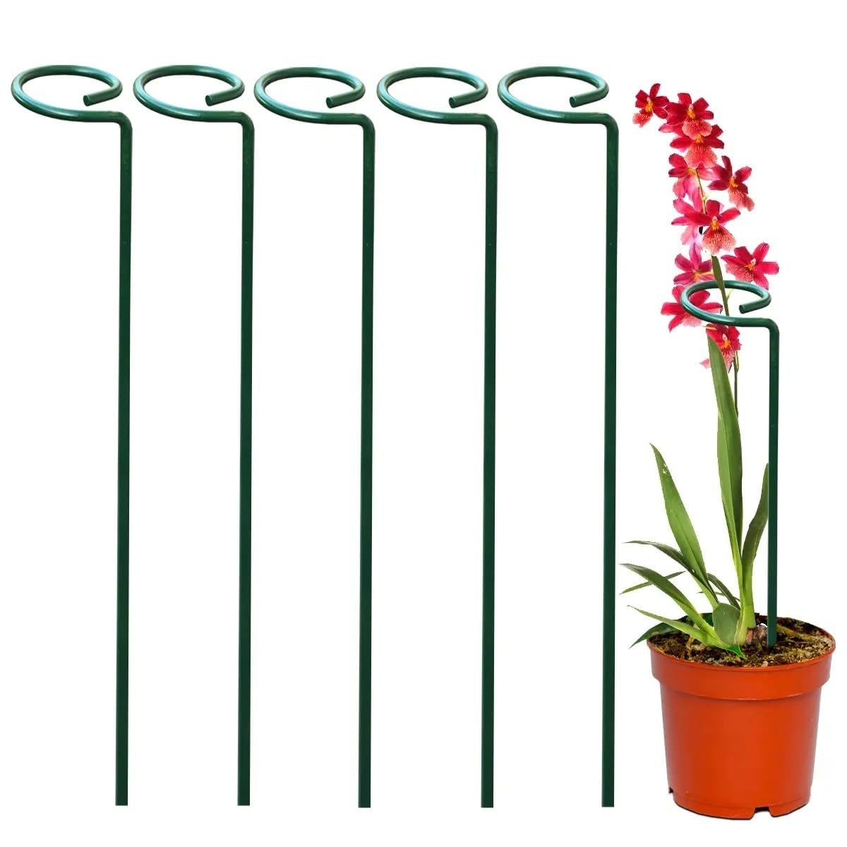 Heavy-Duty Metal Trellis for Climbing Plants & Vines Metal trellis for supporting climbing plants and vines