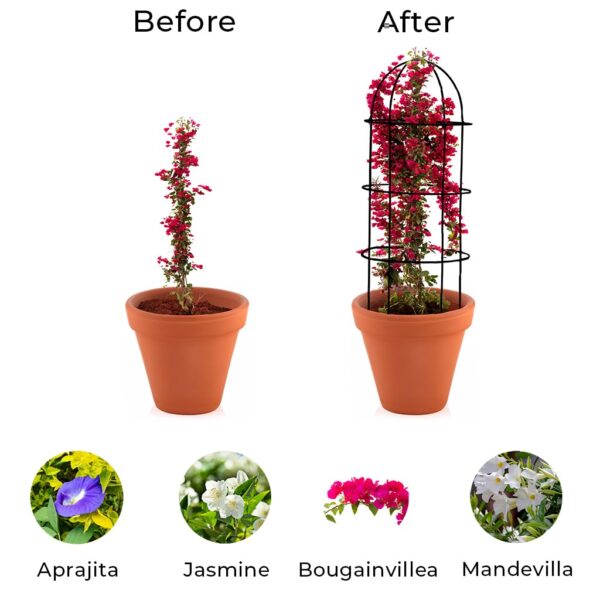 Premium garden trellis frame for training rose and vine plants