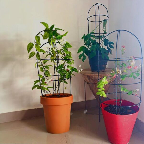 Metal wire lattice trellis for growing climbing plants naturally