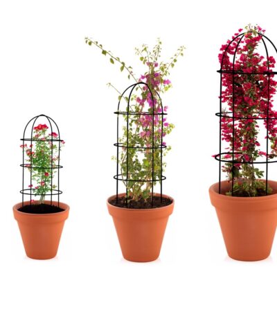 Metal wire mesh plant trellis for strong garden plant support