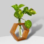 Hexagonal Wooden Vase with Glass Test Tube for Modern Décor