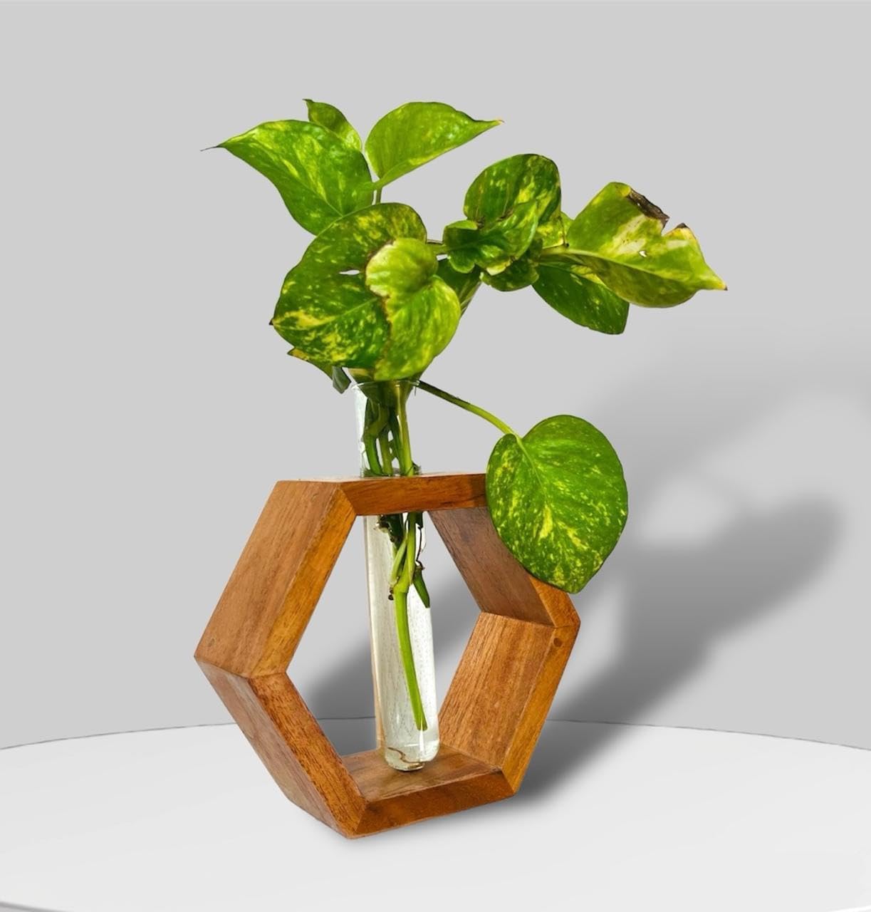 Hexagonal Wooden Vase with Glass Test Tube for Modern Décor Hexagonal Wooden Vase with Glass Test Tube for Modern Décor