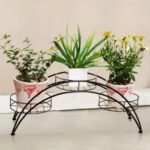 Multiple small plants stand for shelf with indoor succulents