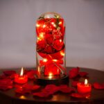 Light up forever rose in glass dome with warm LED lights